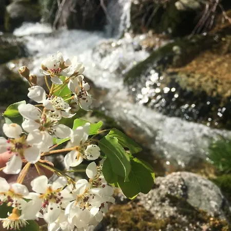 Casa Do Giraldo - Local