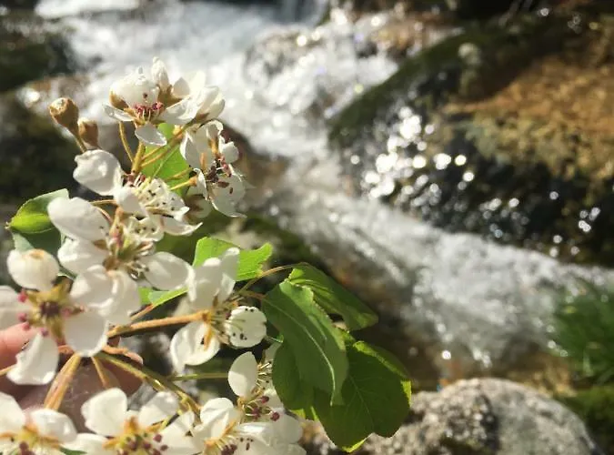 Casa Do Giraldo - Local